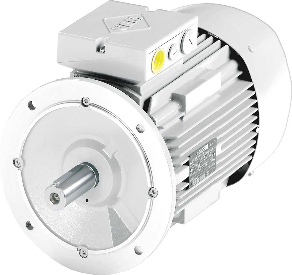 Etra Oy 2 2 1000 W41R 112 MV6 B5 IE3 VEM